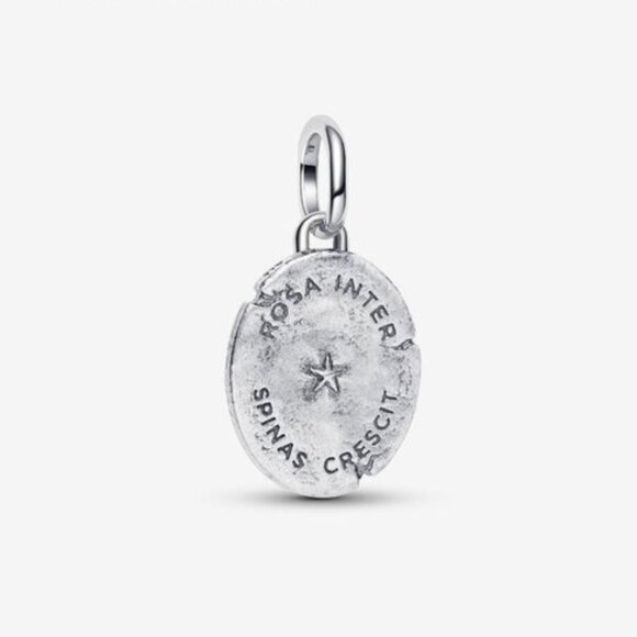 Pandora Rose Medallion Charm - Picture 3 of 6